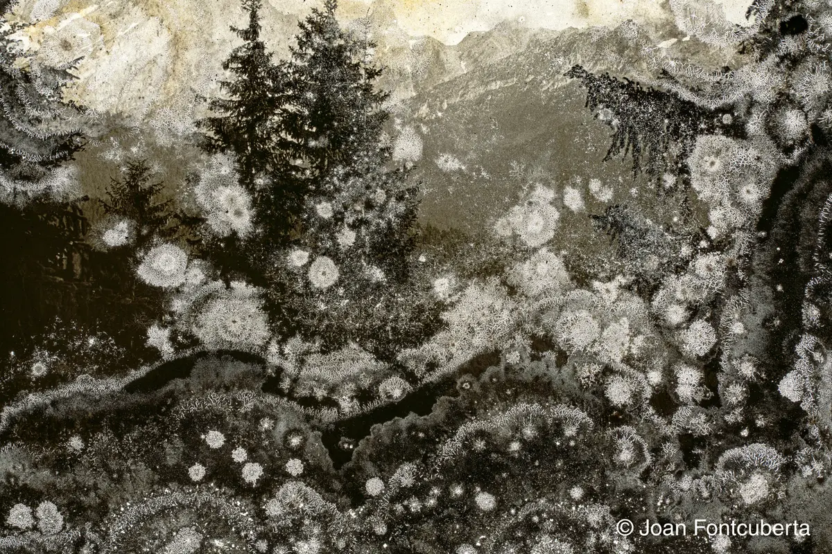 TRAUMA - Exposition de Joan Fontcuberta