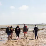 Traversée à pied et visite commentée de l'île Tatihou