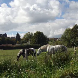 TREC de la Ménigaudière : randonnée équestre