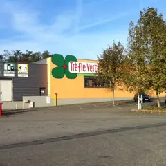 Trèfle Vert 