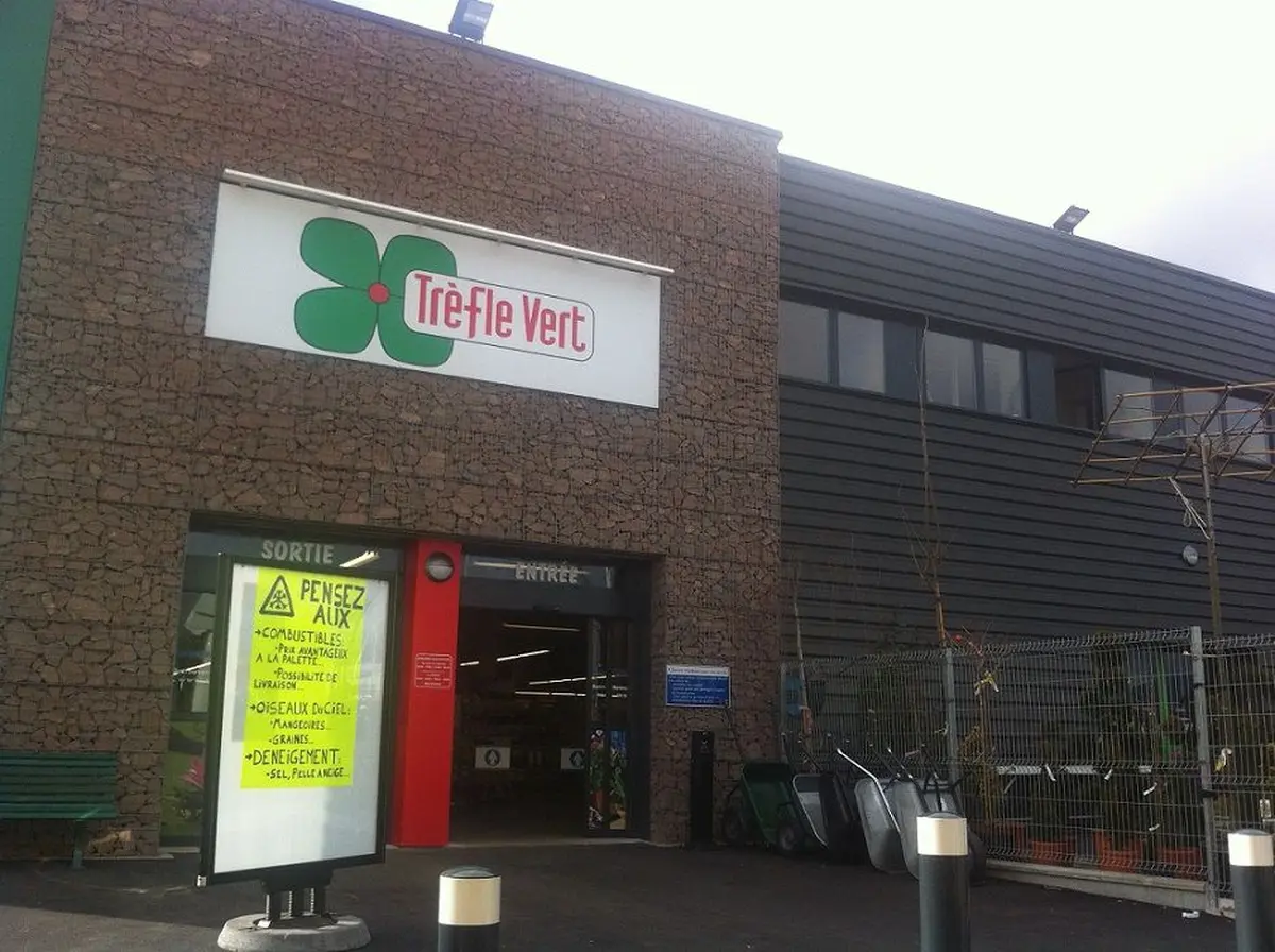 Trèfle vert 