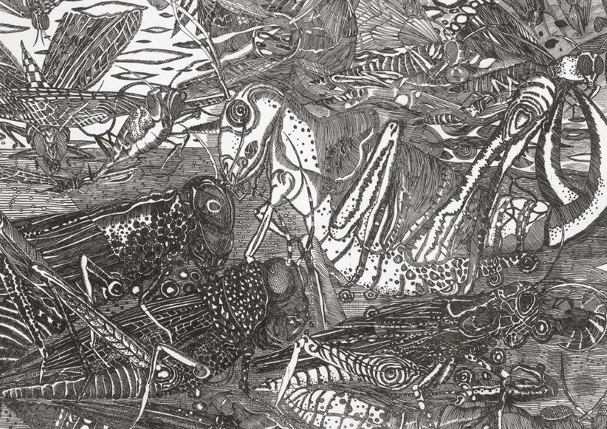 Trente Ans De Gravures