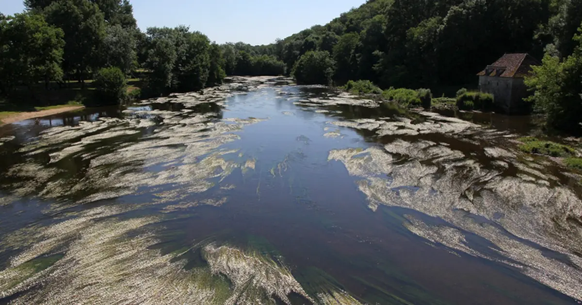 Trésors de rivière