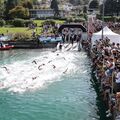 [Coup de ❤️ JDS] Triathlon d'&Eacute;vian 2026