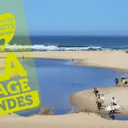 Triselectops - Opération J'aime ma plage