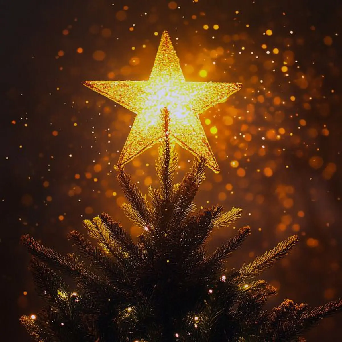 Tristan et l'étoile de Noël