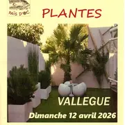 Troc Aux Plantes