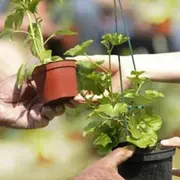 Troc' bocaux & plantes du printemps