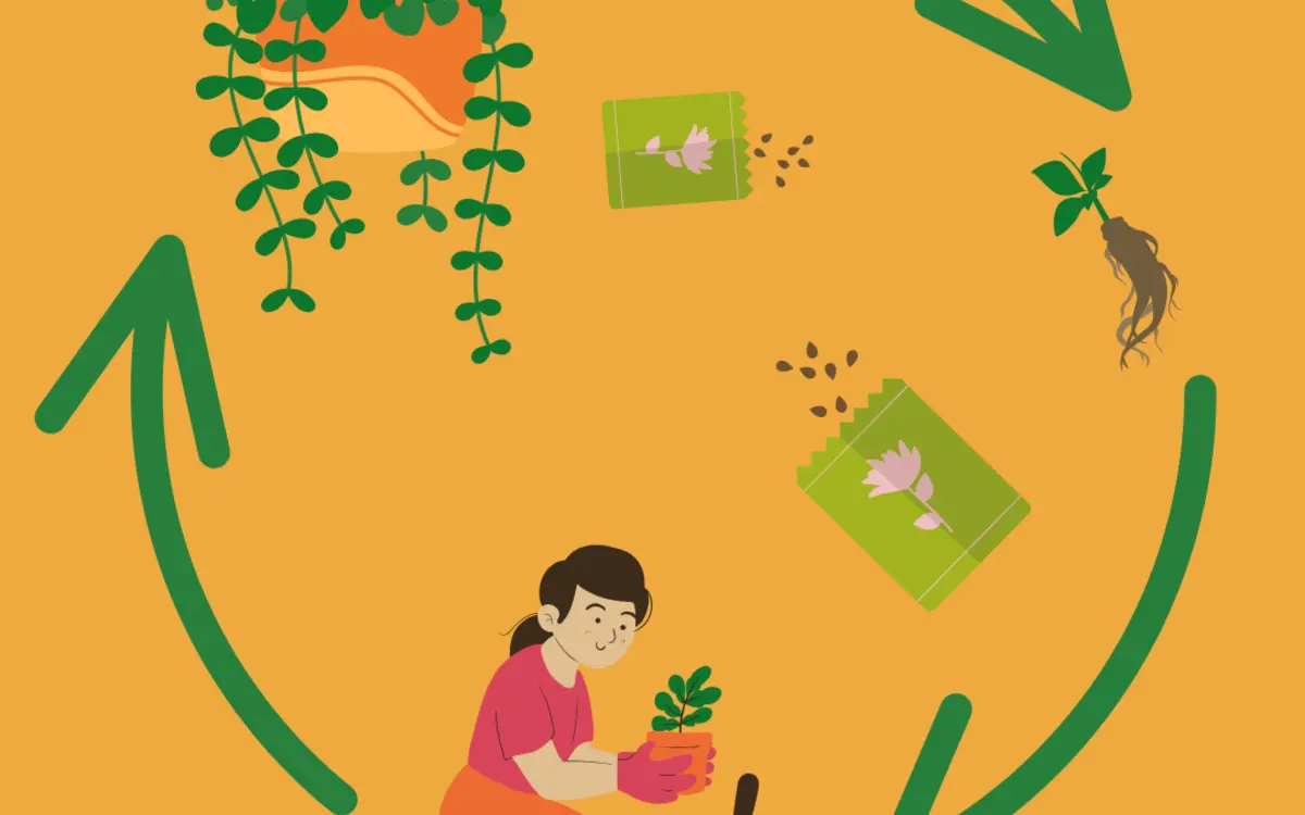 troc de graines et de boutures