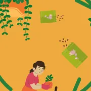 Troc de graines et de boutures