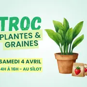 Troc de plantes, boutures et graines