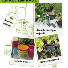 Troc de plantes et réemploi