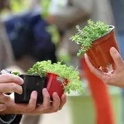 Troc de plants et graines