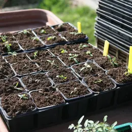 Troc graines, troc plantes