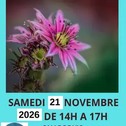 Troc Plante