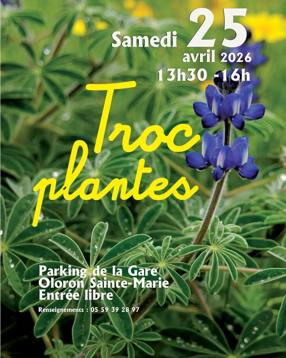 Troc plantes