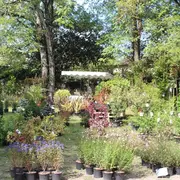 Troc-plantes à la citadelle de Blaye