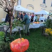 Troc'plantes de Printemps