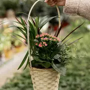 Troc'Plantes de Printemps