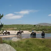 Trois Jours A Cheval Sur Le Mont Lozere
