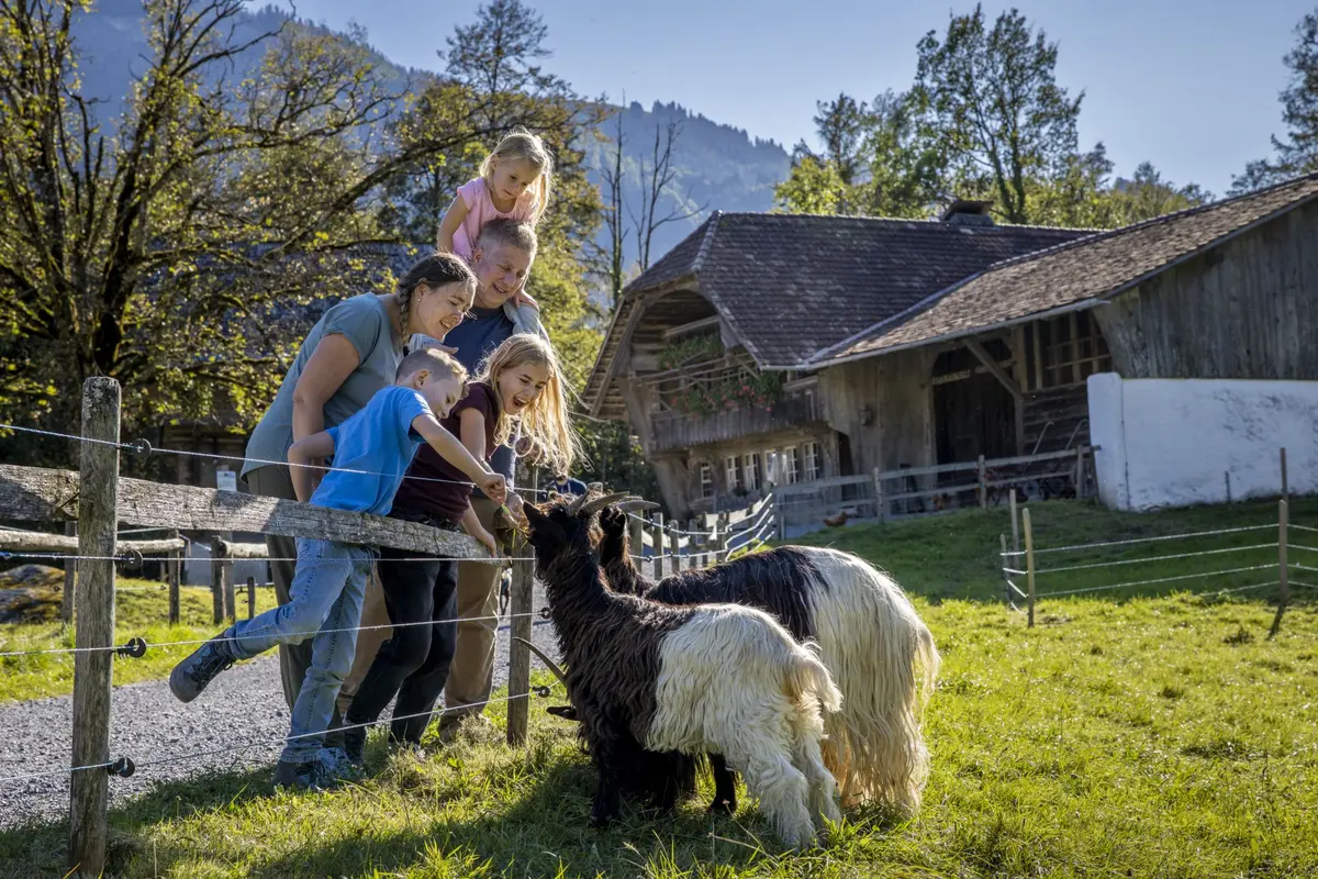 Ballenberg, Freilichtmuseum der Schweiz