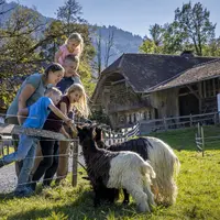 Ballenberg, Freilichtmuseum der Schweiz &copy; Ballenberg, musée suisse en plein air