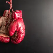 Trophée St Cebria Gala De Boxe