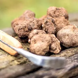Truffe Et Patrimoine