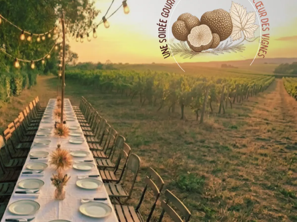 Truffes D'été & Secrets De Vignes