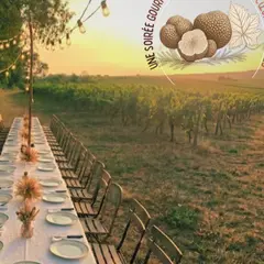 Truffes D'été & Secrets De Vignes