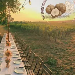 Truffes D'été & Secrets De Vignes
