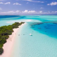 Tui France