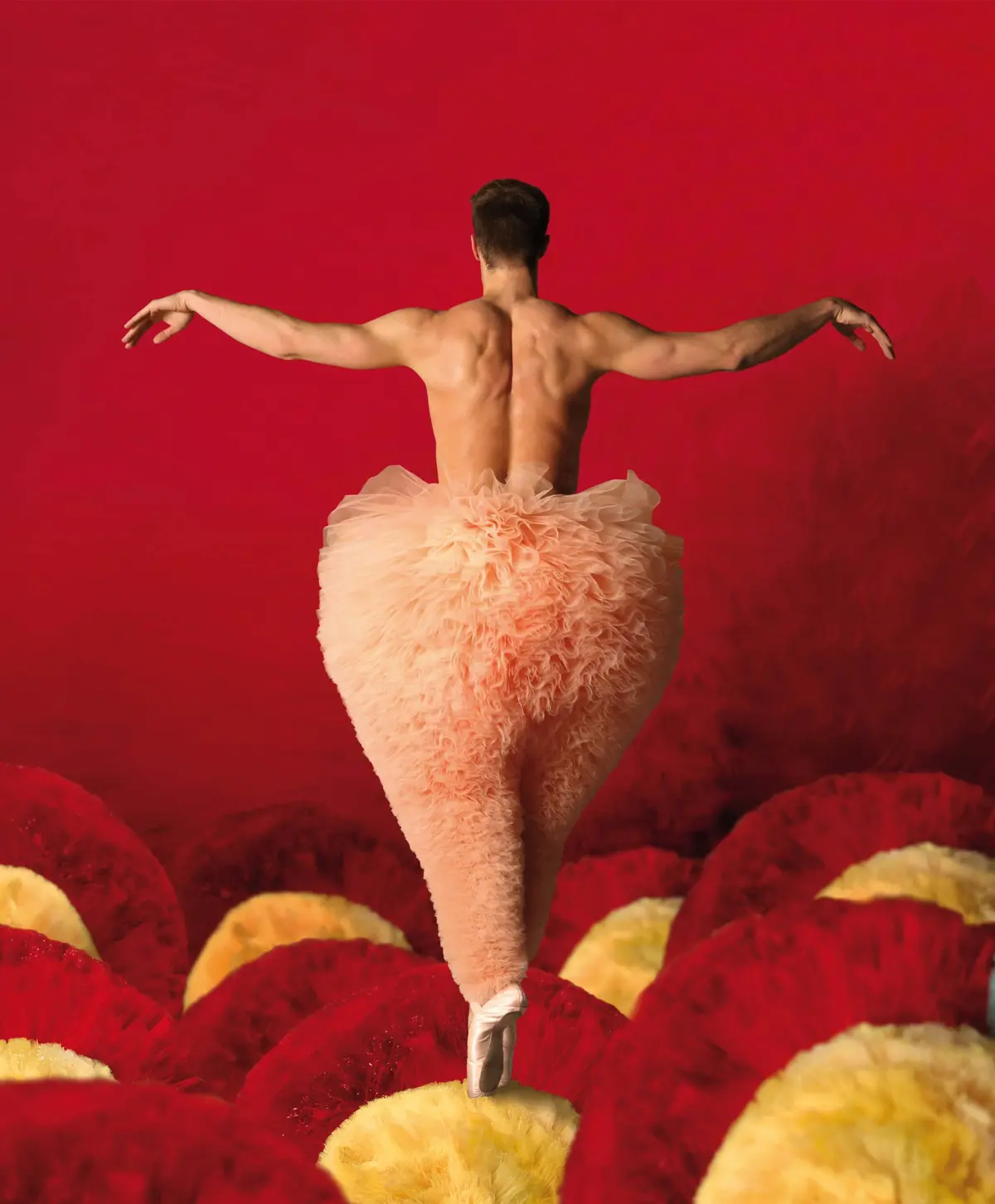 Tutu La Danse Dans Tout Ses Etats