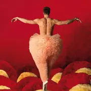 Tutu La Danse Dans Tout Ses Etats