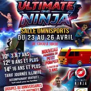 Ultimate ninja