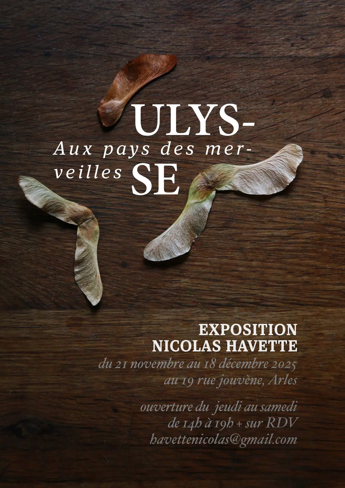 Ulysse aux pays des merveilles