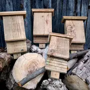 Un abri pour nos amies les chauves-souris