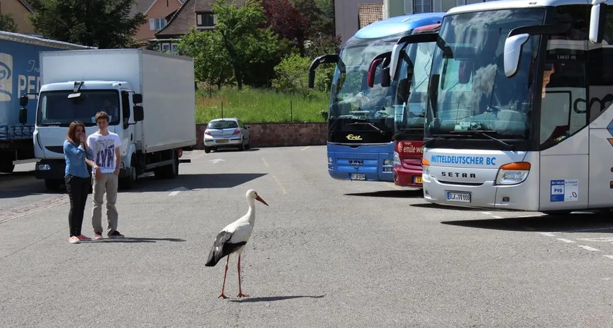 Un accueil surprise...