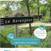 Un bambou pour stylo