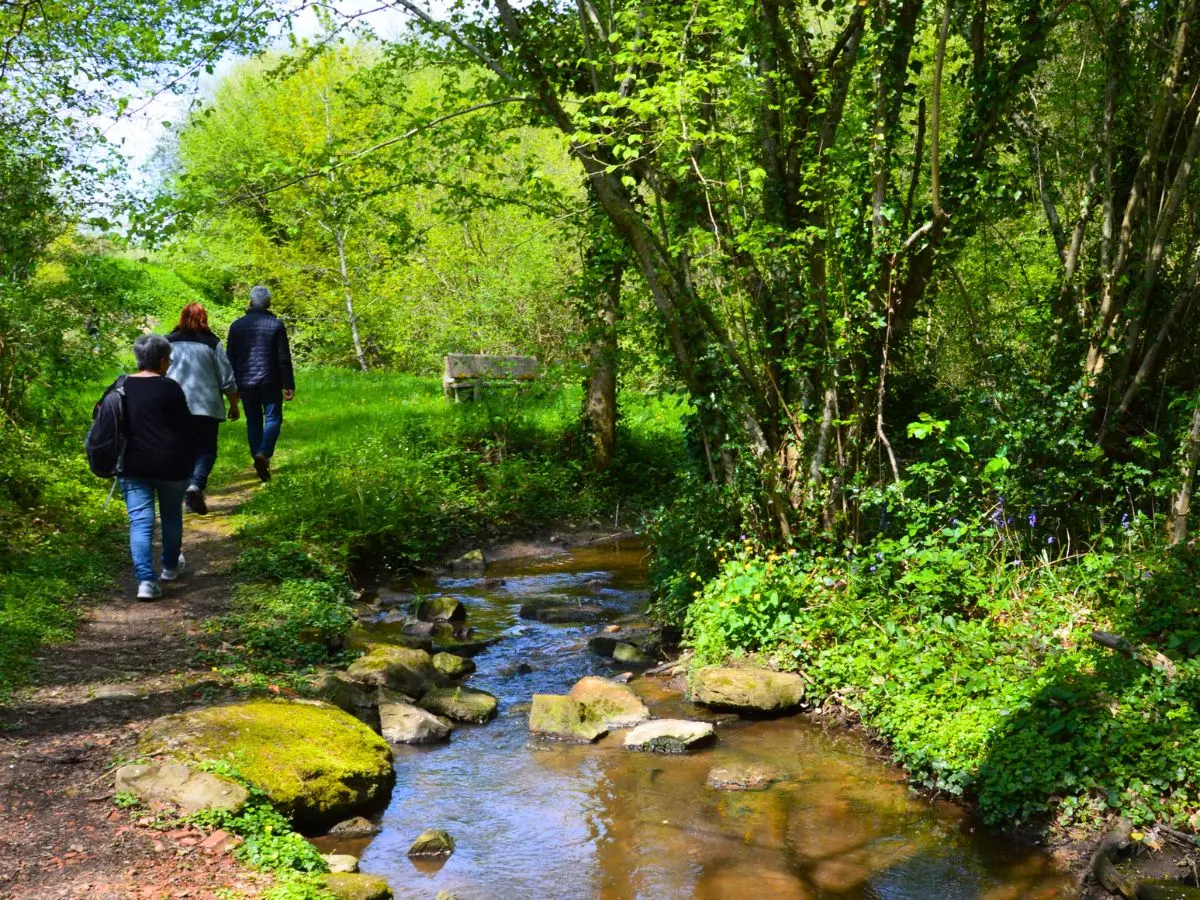 Un dimanche à Dournazac - Marché de printemps et vide-greniers
