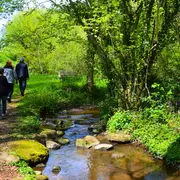 Un dimanche à Dournazac - Marché de printemps et vide-greniers