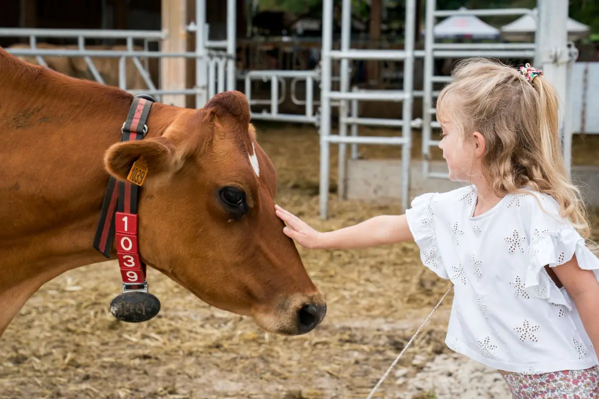 Une journée pour découvrir le monde agricole