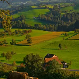 Un été à La Ferme : Les Cayrelles