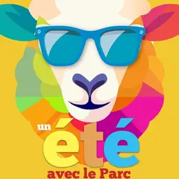 Un été Avec Le Parc : La Nuit Révélée