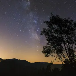 Un été Avec Le Parc : La Nuit Révélée