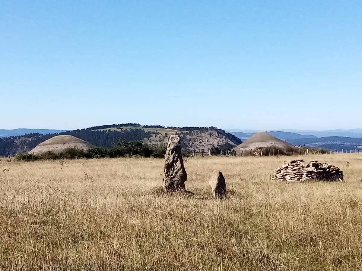 Un été Avec Le Parc : Menhirs
