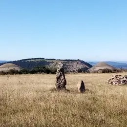 Un été Avec Le Parc : Menhirs