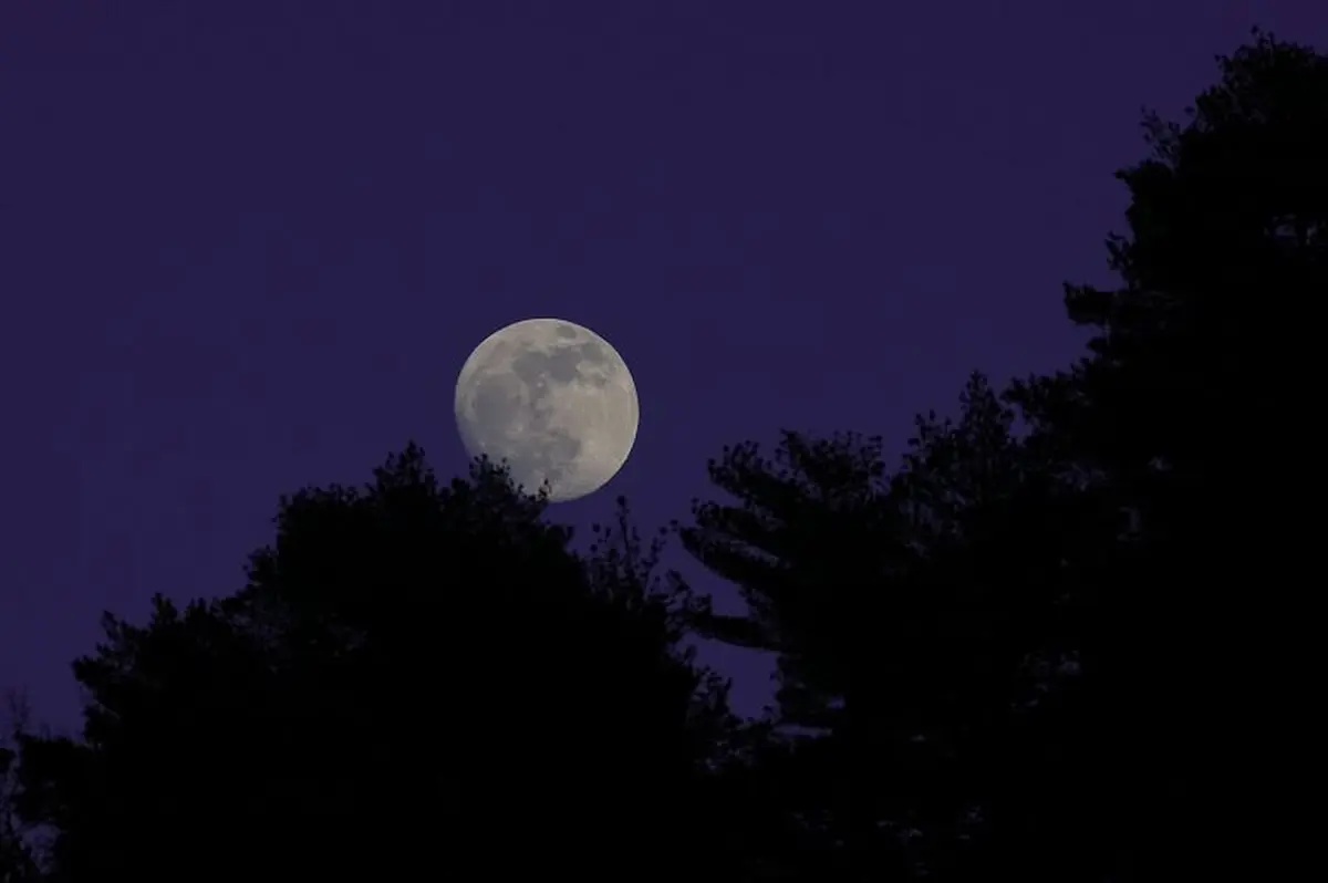 Un été Avec Le Parc : Pleine Lune Sur Le Mont Lozère