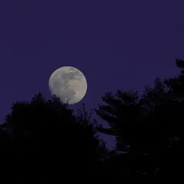 Un été Avec Le Parc : Pleine Lune Sur Le Mont Lozère