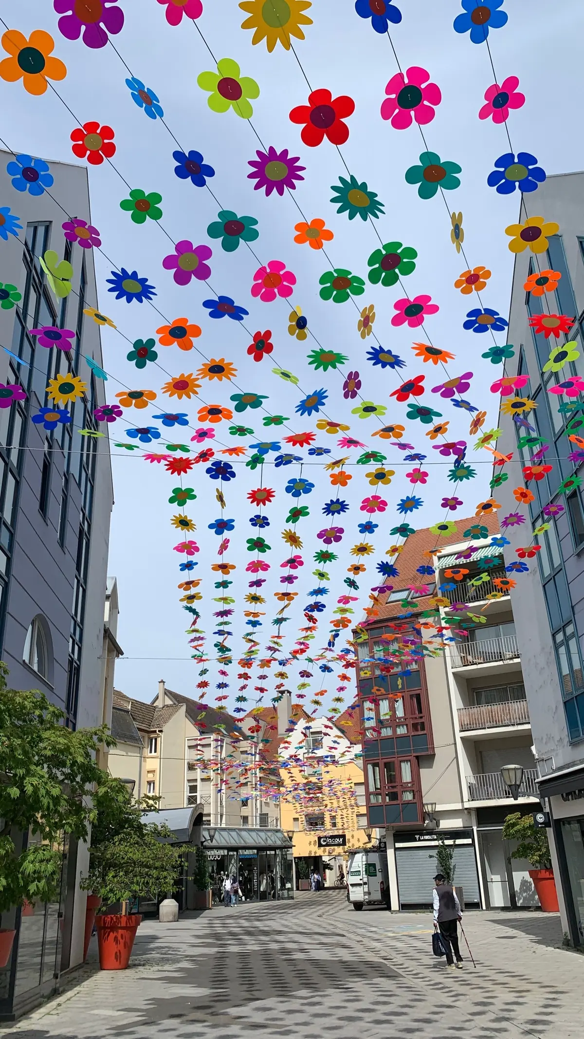 Un été sous un ciel fleuri à la Cour des Maréchaux à Mulhouse